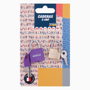 Lot de 2 cadenas métalliques à clé – Aerial