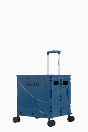 Chariot de transport ROLL BOX - 45x40x26 cm - Aérial
