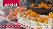 Chariot de transport ROLL BOX - 45x40x26 cm - Aérial