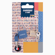 Lot de 2 cadenas métalliques à clé – Aerial