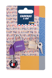 Lot de 2 cadenas métalliques à clé – Aerial