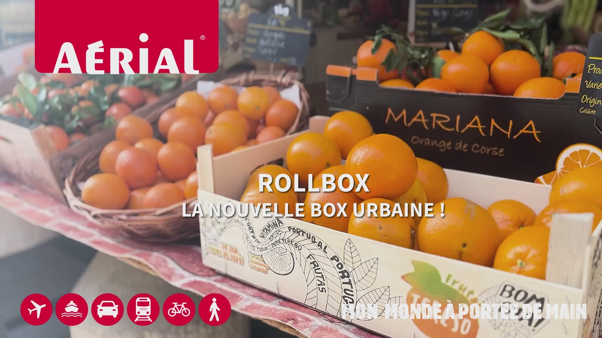 Chariot de transport ROLL BOX - 45x40x26 cm - Aérial